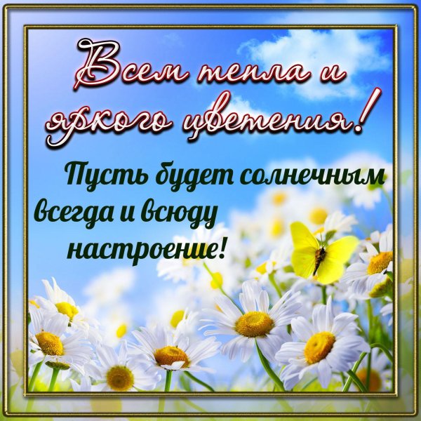 пожелания на лето