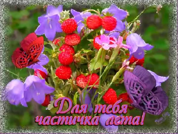 летние открытки