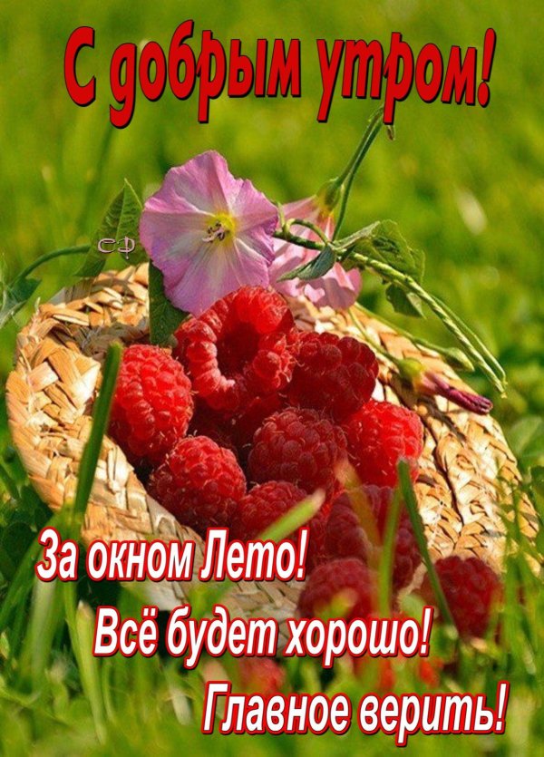 красивого летнего утра