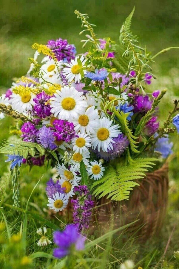очень красивый летний букет