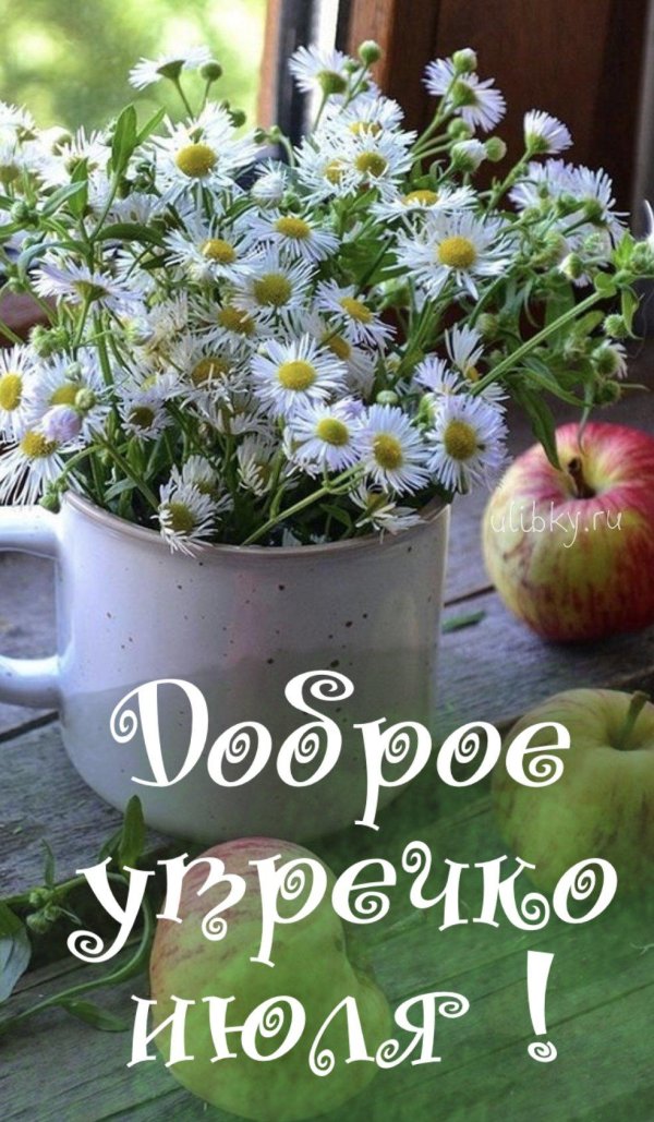 доброе утро лето август