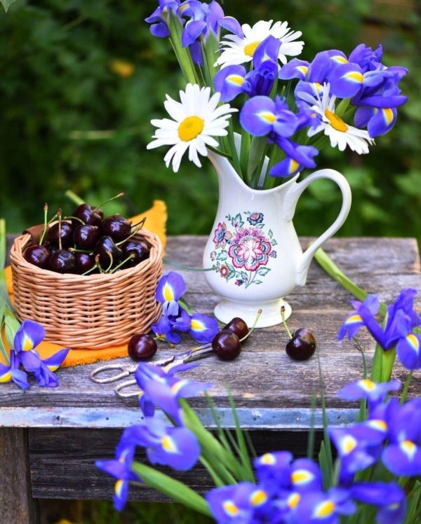 утренние цветы