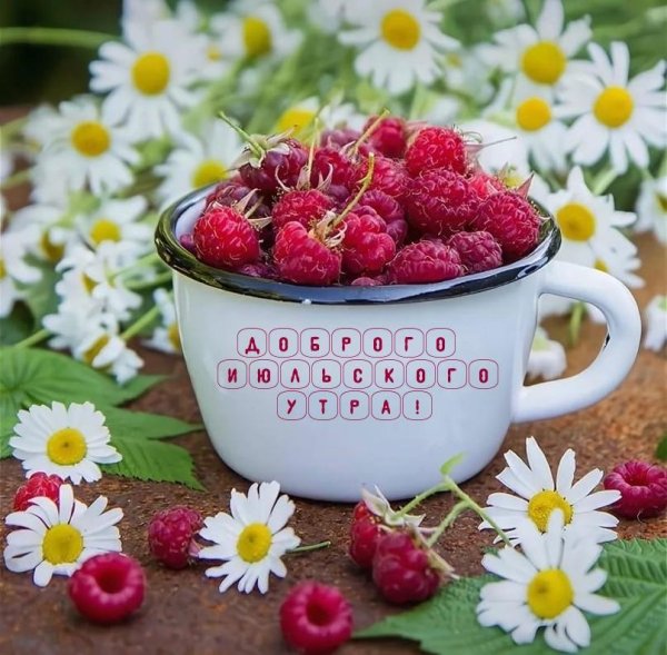 утра доброго летнего