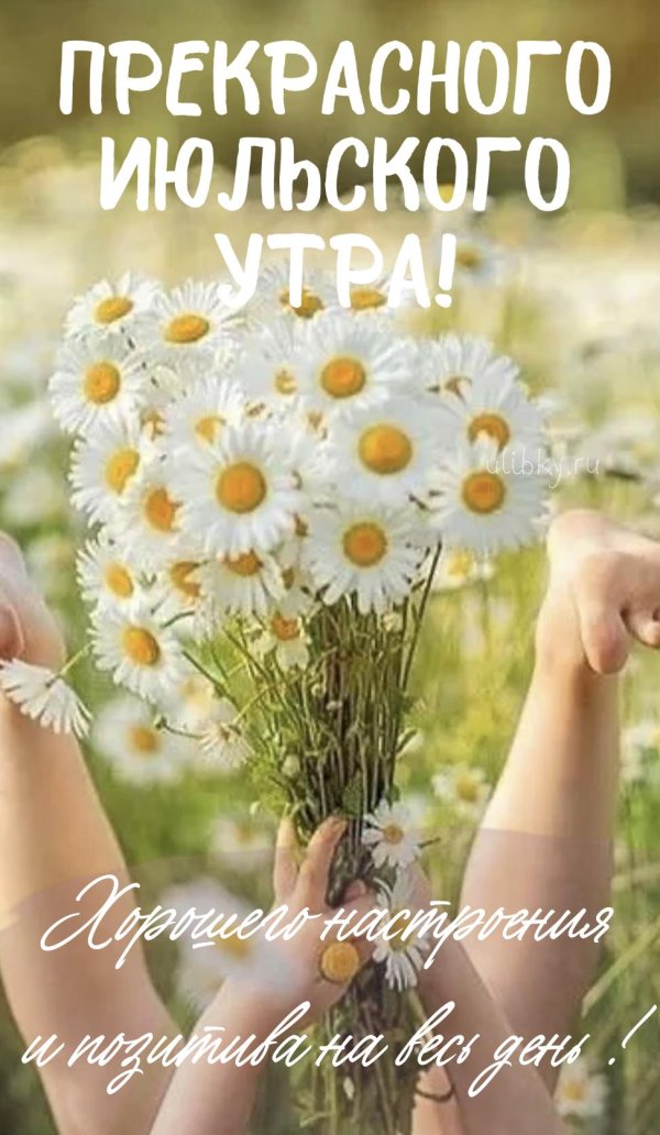 доброго июльского утра