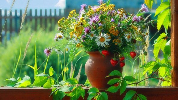 летнего настроения