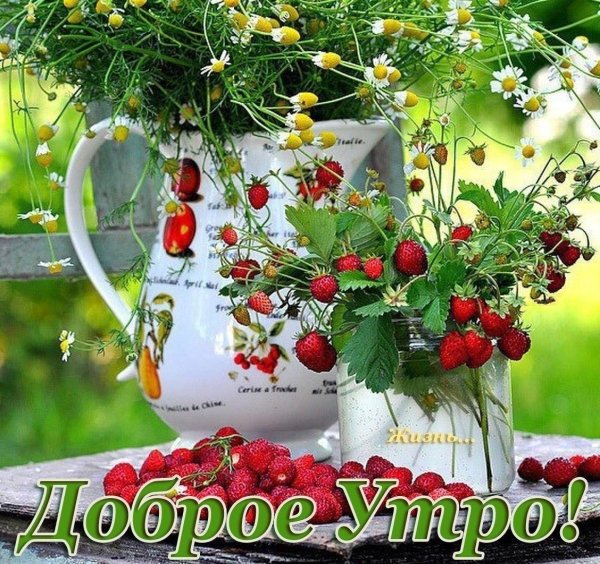 летнего утра