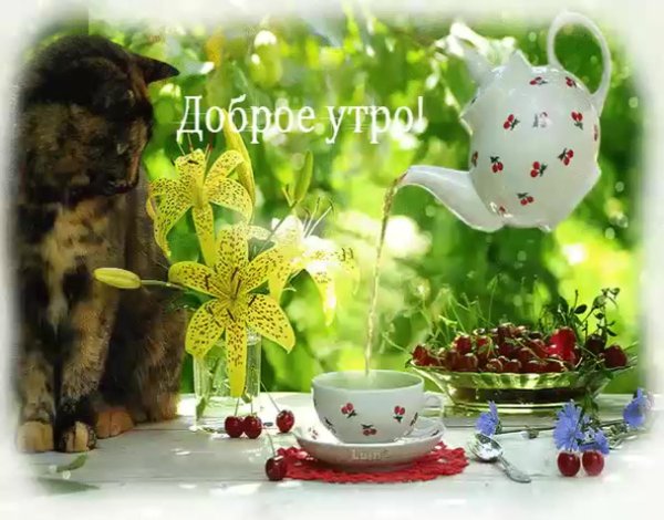 доброе летнее утро пожелания