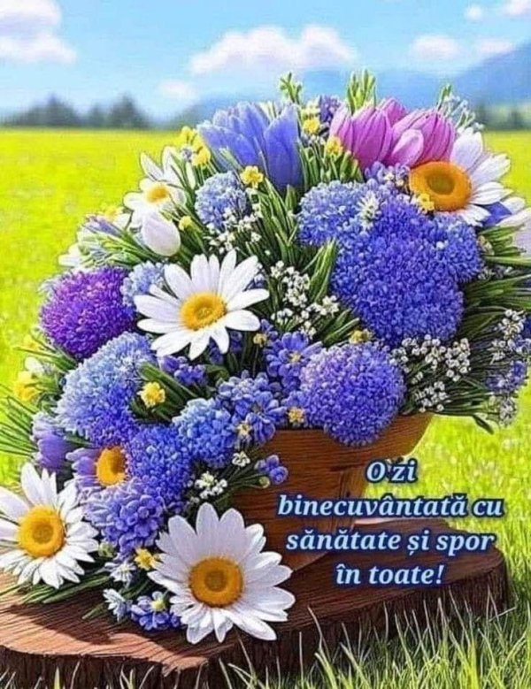 букет полевых васильков