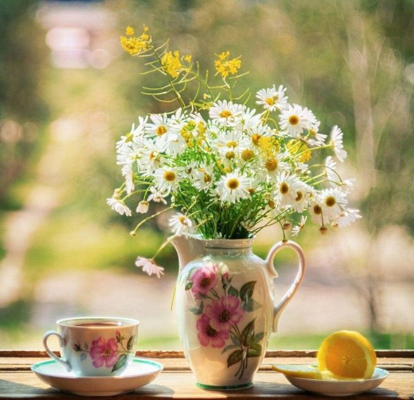 доброго утра полевые цветы