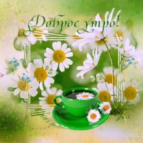 красивая открытка с добрым летним утром