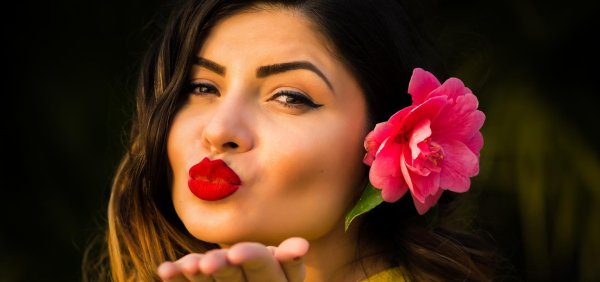 камелия японская