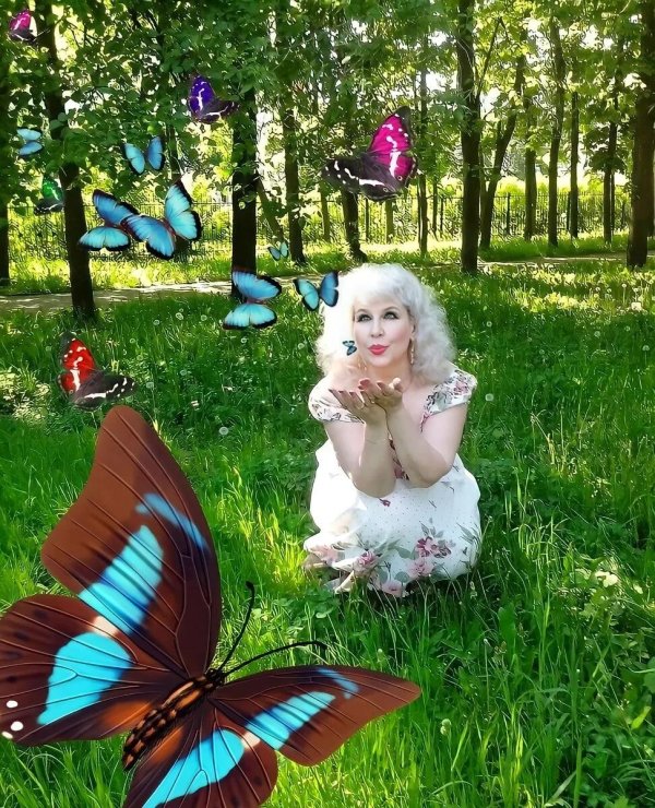 бабочка крылья