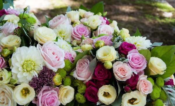 лизиантусы цветы