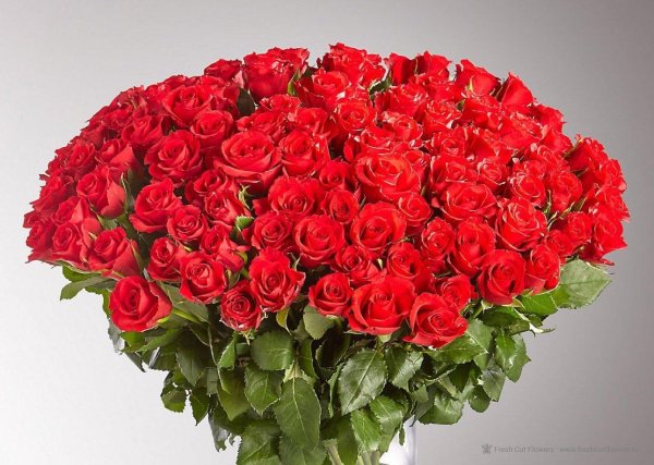 красивые большие букеты