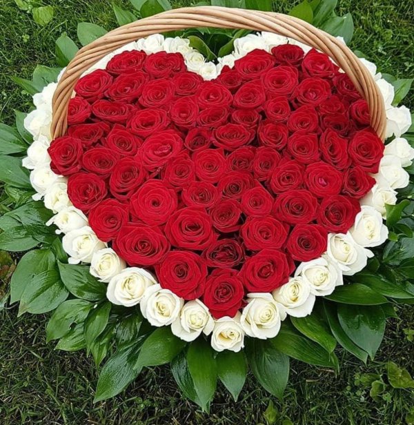 сердце с розами в корзине