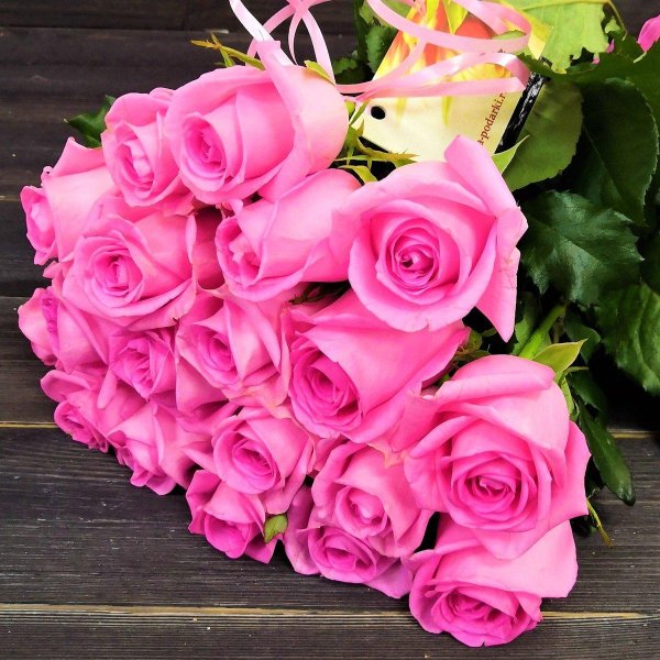 пинфлоид роза