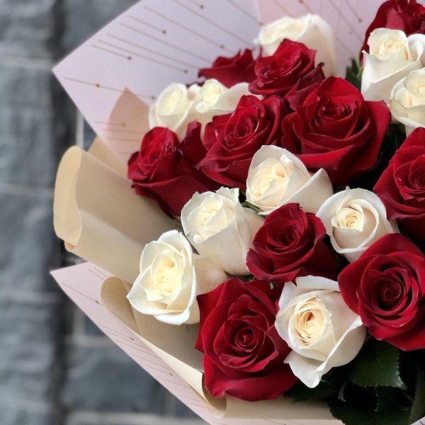 красно белая роза