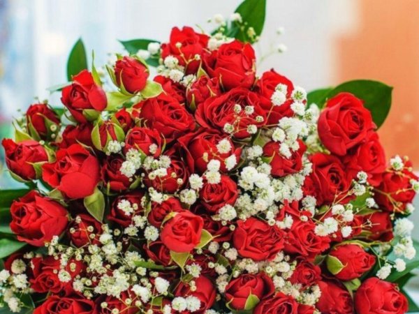 цветы красивые букеты