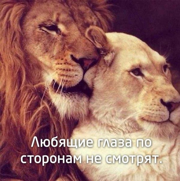любящие глаза по сторонам