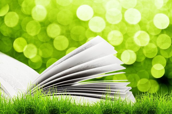книга на зеленом фоне