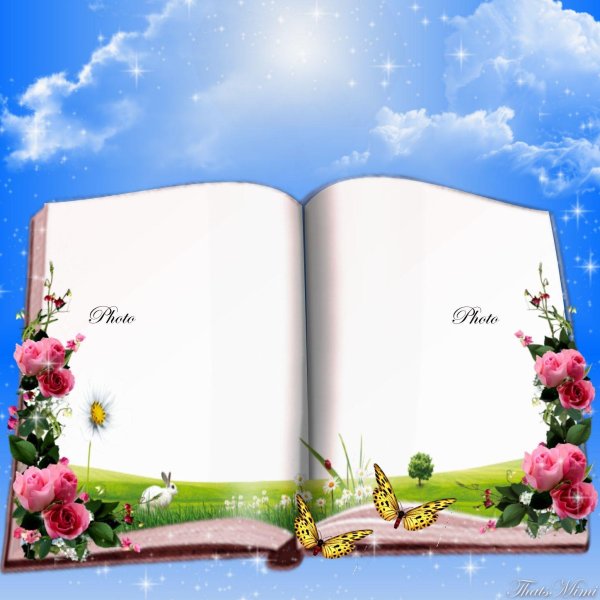 рамка в виде книги