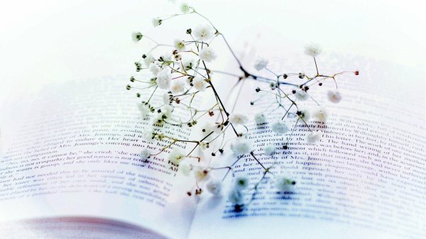 цветы книги