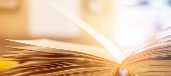 книга красивая