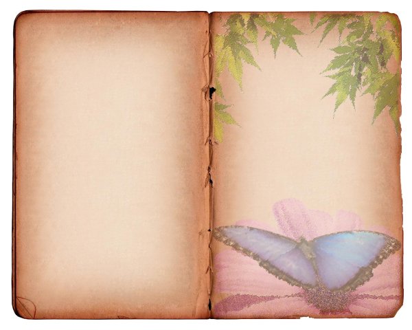 раскрытая книга для фотошопа