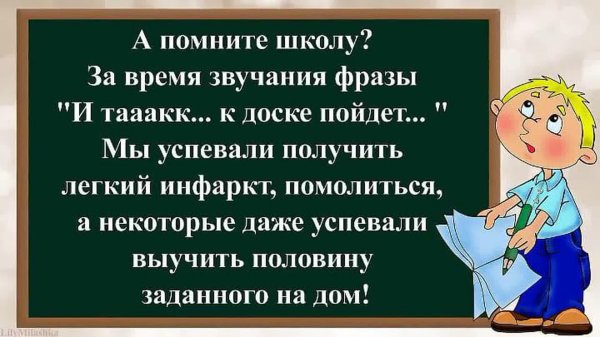 высказывания о школьных годах