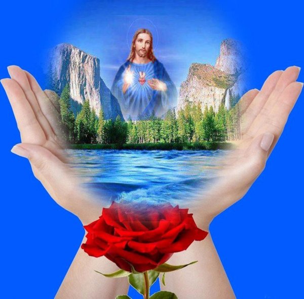 sagrado coração de jesus