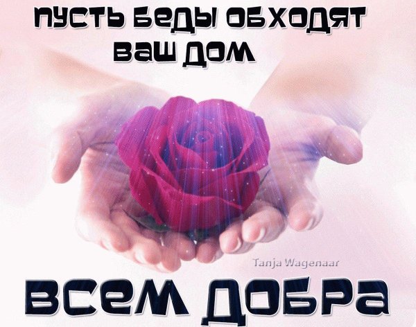 добрые пожелания