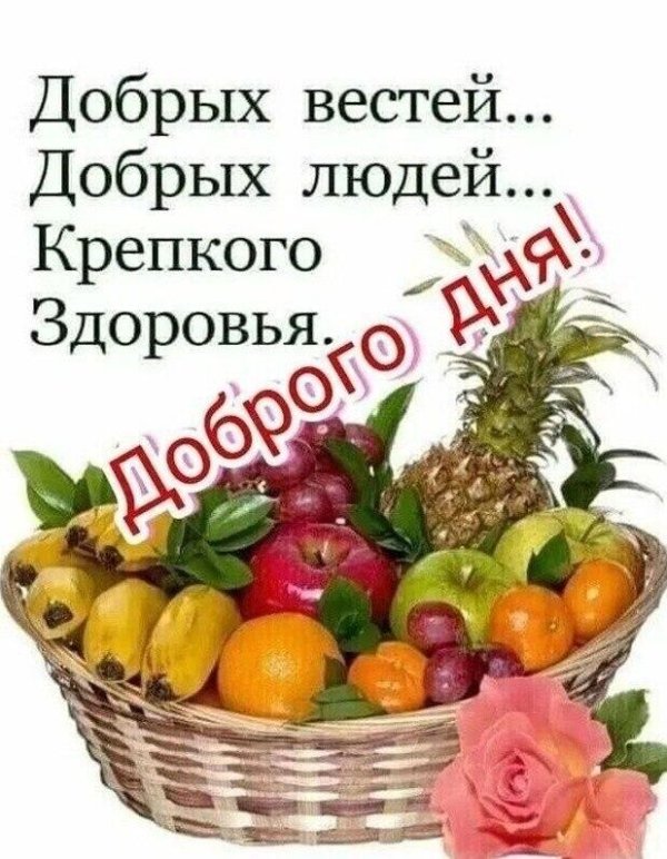 корзина фруктов