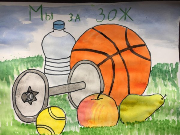 зож рисунки