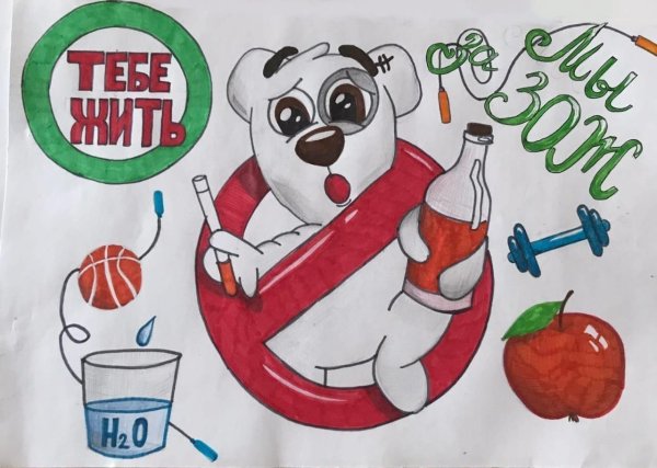 рисунки мы за зож