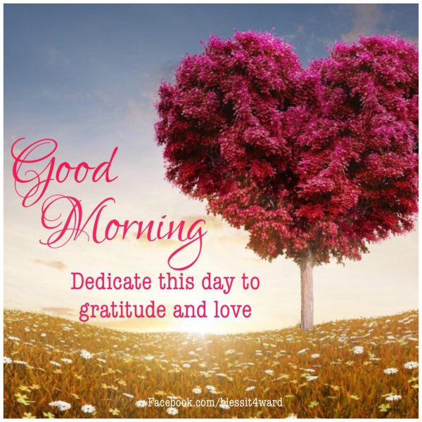 любовное дерево