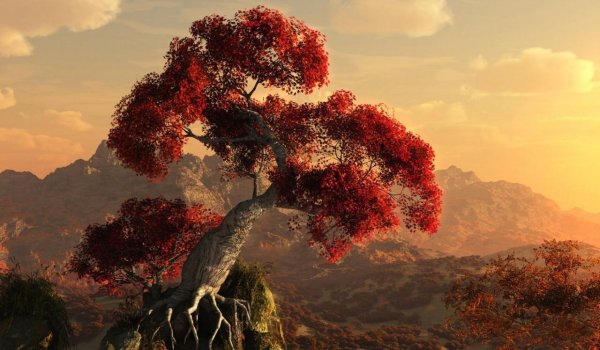 дерево красное