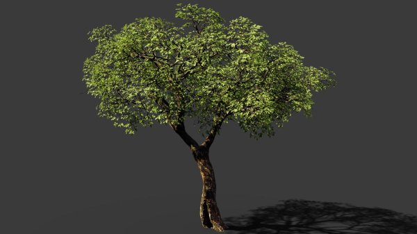 tree 3ds max