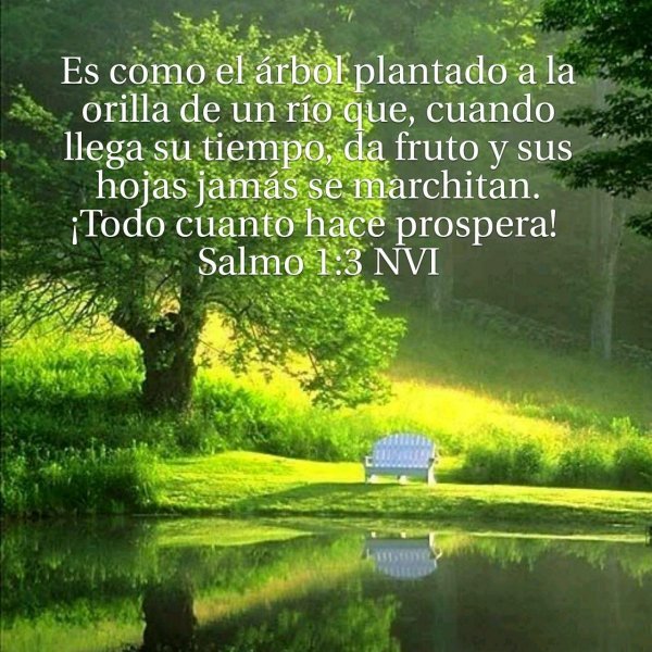 mensagens evangélicas