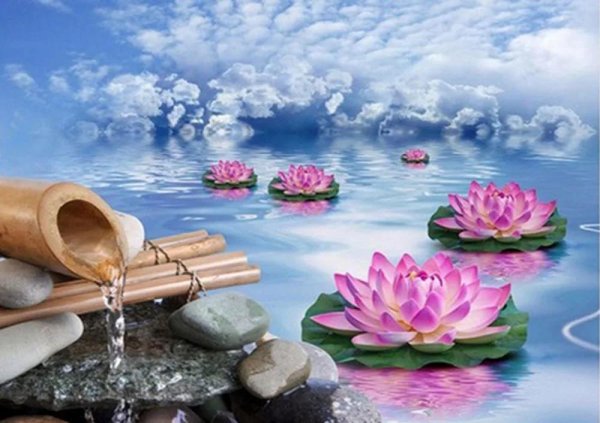 лотос фен шуй