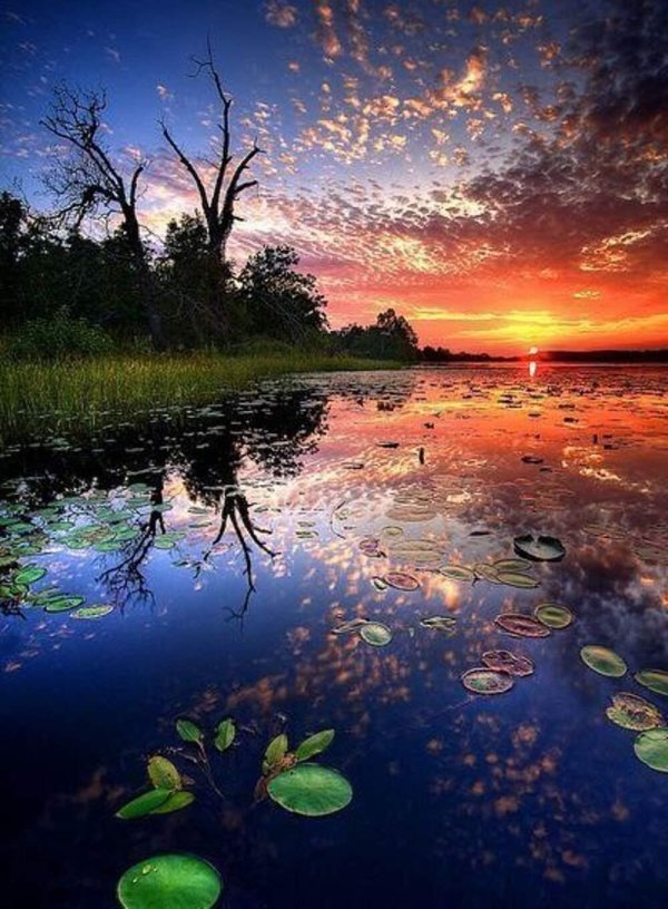 удивительные пейзажи