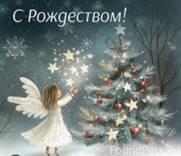 рождественские ангелы