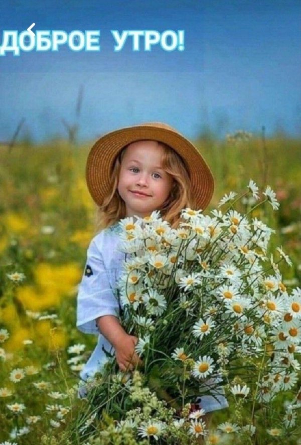 добра утра