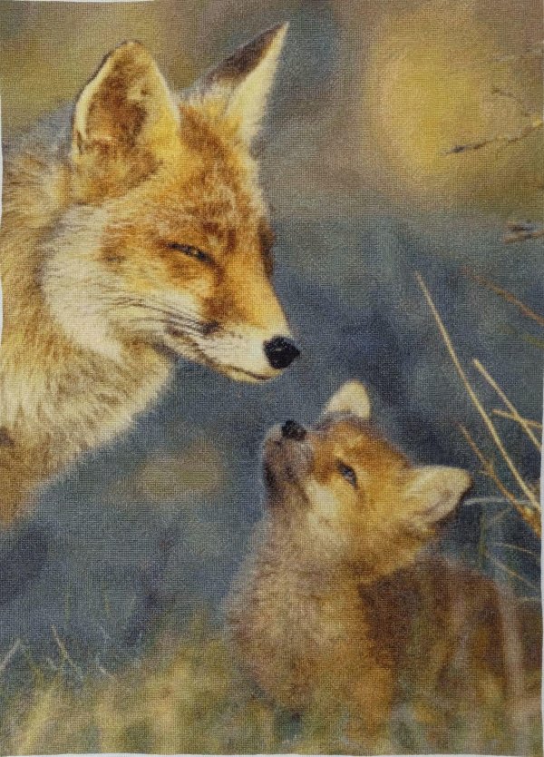 картина лисенок