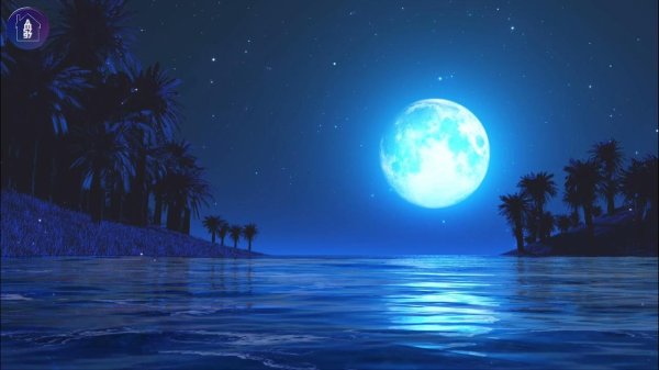 море лунной ночью