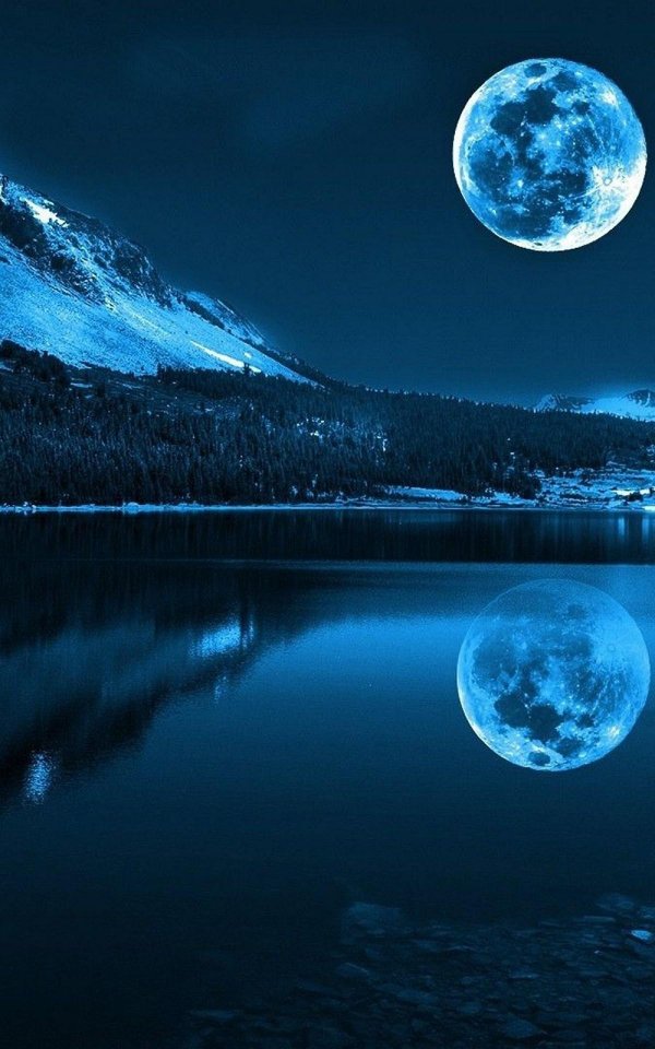 лунная ночь