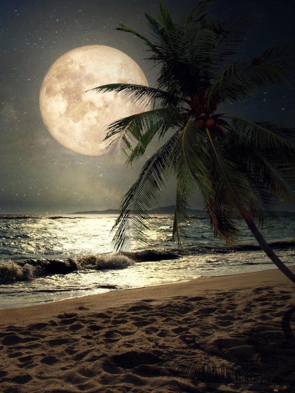 ночной пляж