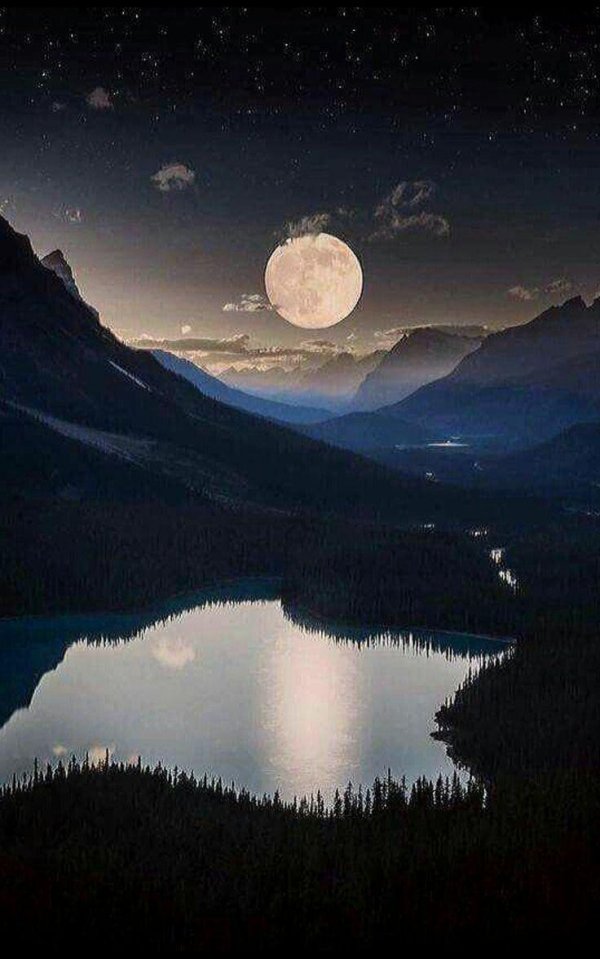 ночной пейзаж