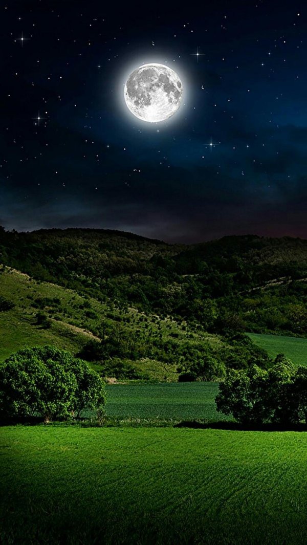 ночная природа