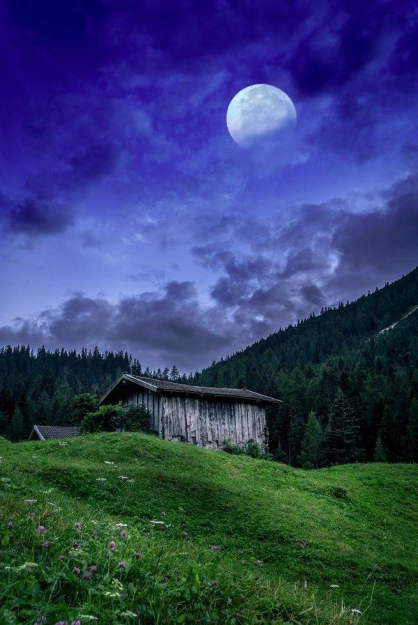 спокойной ночи деревня