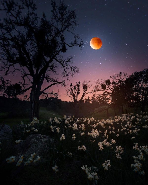 природа ночь